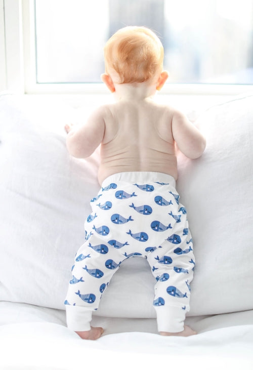 Calça Harem Bebê Baleia Azul — Algodão Orgânico